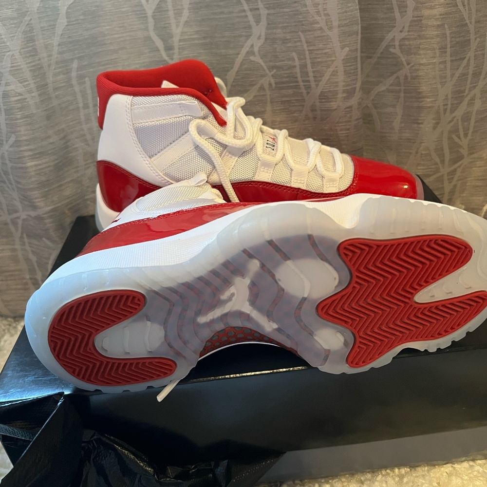 Cherry Jordan 11s BNIB